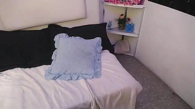 palmer mIix online show from 12.27.24