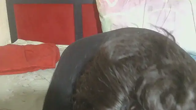 MaximTease24 online show from 06.12.26