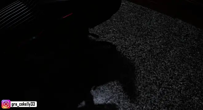 Snapshot of gracekelly12 chatting on 12.04.24 gracekelly12 online show from 12.04.24