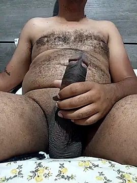 Snapshot of Jornaodaputaria chatting on 11.05.25 Jornaodaputaria online show from 11.05.25