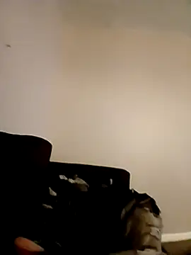 Snapshot of willywonka7793 chatting on 12.16.24 willywonka7793 online show from 12.16.24