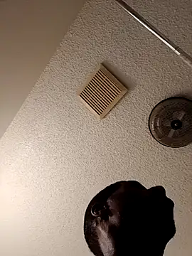 Snapshot of willywonka7793 chatting on 03.03.25 willywonka7793 online show from 03.03.25