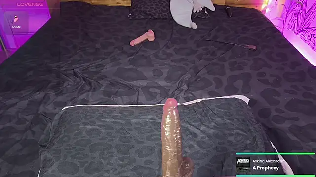 kellycakemeow online show from 06.17.26