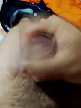 Edipaca online show from 03.04.26