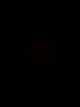 your red rose  online show from 03.07.25