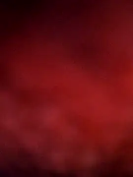 sana14 online show from 12.14.25