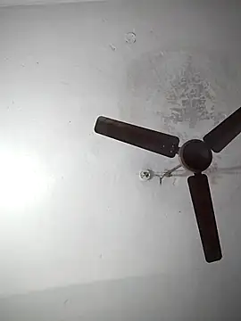 Snapshot of sana14 chatting on 12.19.25 sana14 online show from 12.19.25