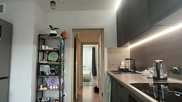 jainesummer online show from 11.12.25