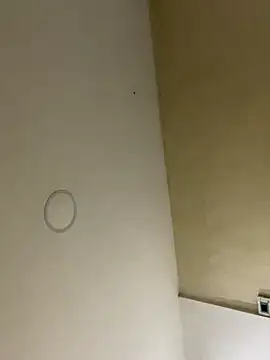 HannaRhodes online show from 11.26.25