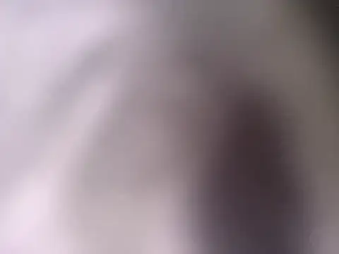 pantomax online show from 09.20.25