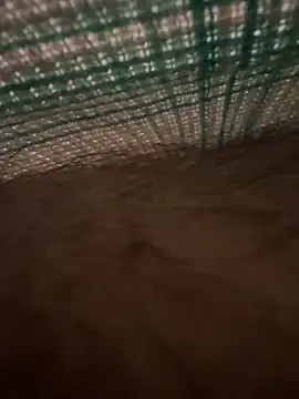 Snapshot of studdboyy chatting on 12.17.25 studdboyy online show from 12.17.25