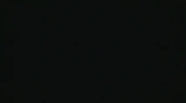 alansteer online show from 12.22.24