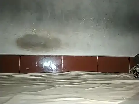 alansteer online show from 10.21.25