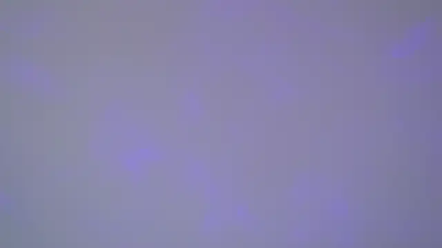 SelinSwarovski online show from 11.01.25