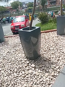 Lexwelll online show from 03.16.25