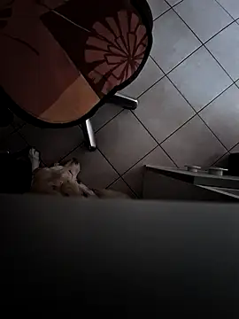 Snapshot of HardWolf2024 chatting on 12.09.24 HardWolf2024 online show from 12.09.24