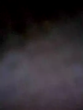 PracticalGum40 online show from 12.04.24