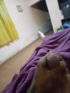 Snapshot of carloshot31 chatting on 03.31.26 carloshot31 online show from 03.31.26