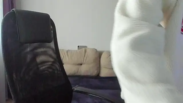 Ostin meow online show from 11.07.25