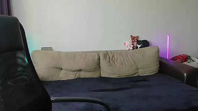 Ostin meow online show from 06.09.26