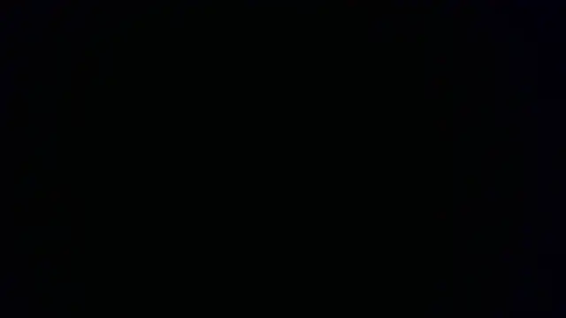 Snapshot of W_N_G_S chatting on 10.15.25 W N G S online show from 10.15.25