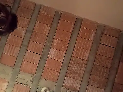 jtf4055 online show from 09.13.25