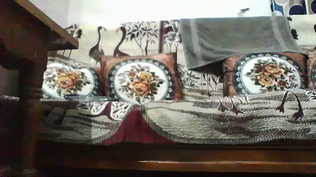 shalini fire online show from 07.29.26