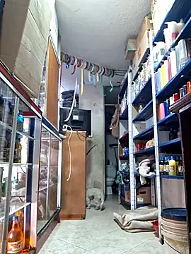 nidia2026 online show from 03.01.25