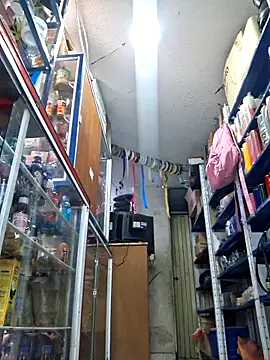 nidia2026 online show from 11.20.25