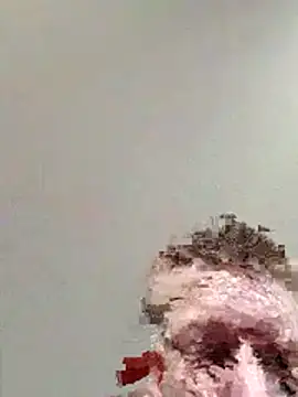 Snapshot of Tattooguy_86 chatting on 11.26.25 Tattooguy 86 online show from 11.26.25