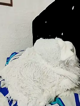 Snapshot of ElizabethWeil chatting on 12.15.25 ElizabethWeil online show from 12.15.25