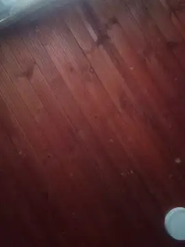 Snapshot of Darly_Gomez chatting on 03.03.25 Darly Gomez online show from 03.03.25