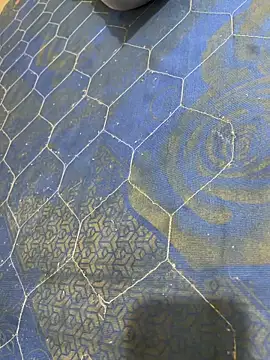 Snapshot of United3 chatting on 11.02.25 United3 online show from 11.02.25