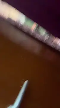 Snapshot of nick__yy chatting on 02.19.26 nick yy online show from 02.19.26