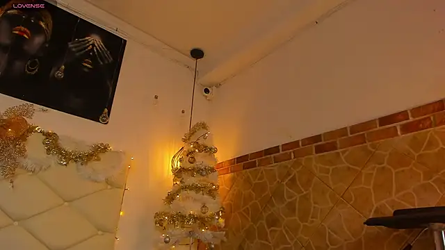 imlodge  online show from 12.12.24