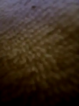 Snapshot of houy111111 chatting on 02.03.26 houy111111 online show from 02.03.26