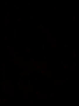 Snapshot of Feli230990 chatting on 10.08.25 Feli230990 online show from 10.08.25