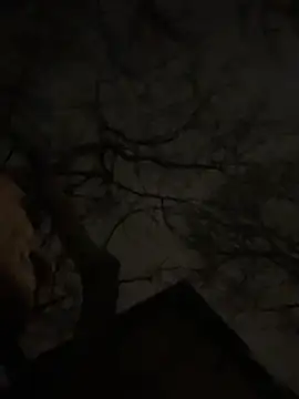 Snapshot of -yakimov- chatting on 01.31.26 -yakimov- online show from 01.31.26