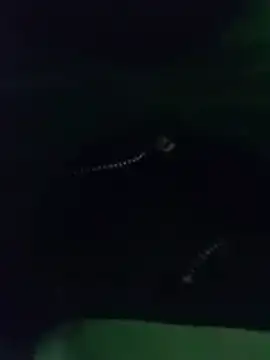 thanos65432 online show from 03.18.26