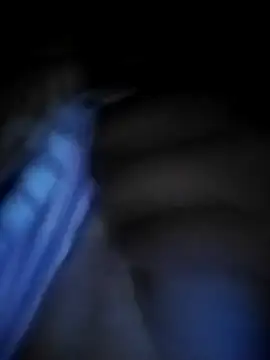 Snapshot of Danna-linyi chatting on 12.13.24 Danna-linyi online show from 12.13.24