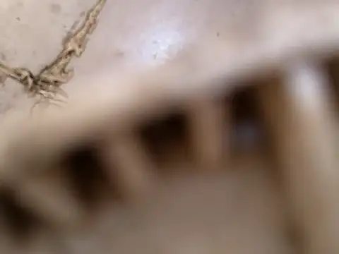 small131 online show from 03.17.25