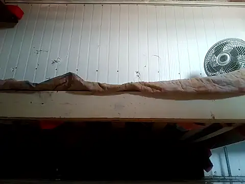 frotasso online show from 02.20.26