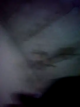 Snapshot of jolesin chatting on 12.21.24 jolesin online show from 12.21.24