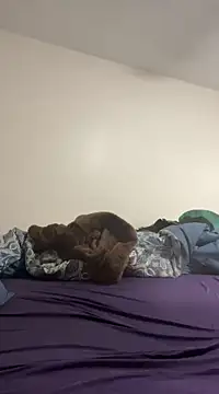 daddymaniaco69 online show from 12.28.24