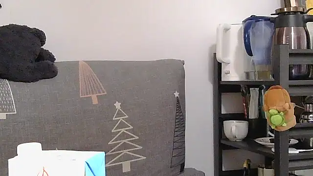 Snapshot of 866532 chatting on 12.19.25 866532 online show from 12.19.25