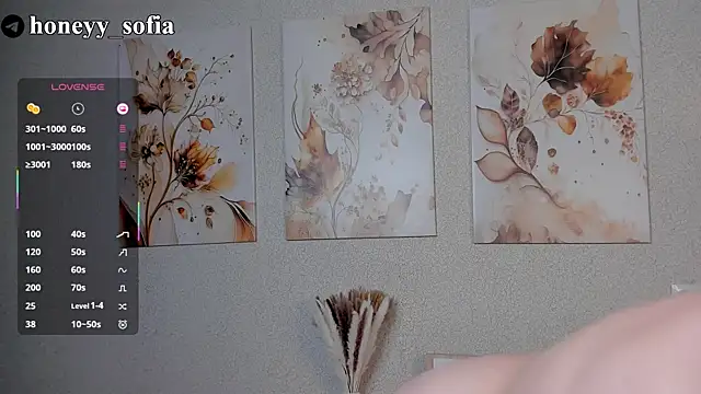 Snapshot of sweete_sofia chatting on 03.12.25 sweete sofia online show from 03.12.25