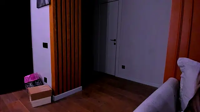 Snapshot of project_barbara chatting on 03.14.25 project barbara online show from 03.14.25