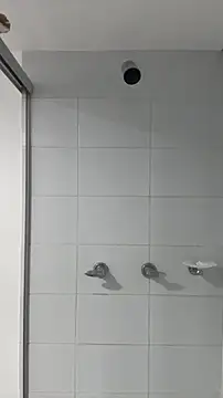 snakeeboy online show from 03.02.26