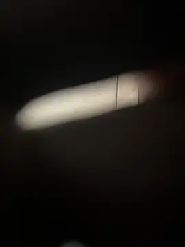 Indiancockmilk online show from 12.28.24