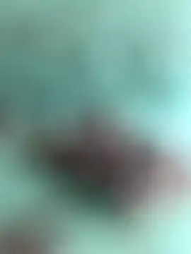 Indiancockmilk online show from 01.31.25